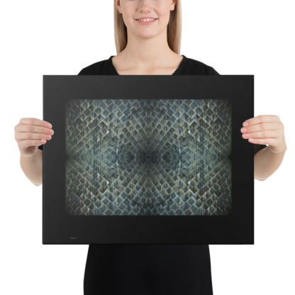 Shuttle Skin  | Canvas Art Print - Image 3