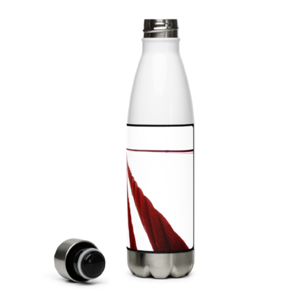 Golden Gate  |  Insulated Stainless Steel Water Bottle - Image 6