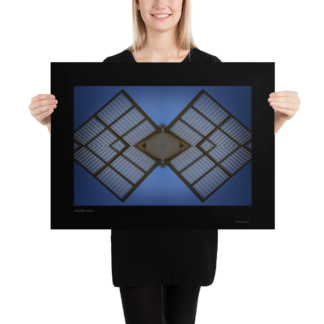 Satellite Moth | Unframed Poster