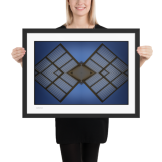 Satellite Moth  | Framed Print