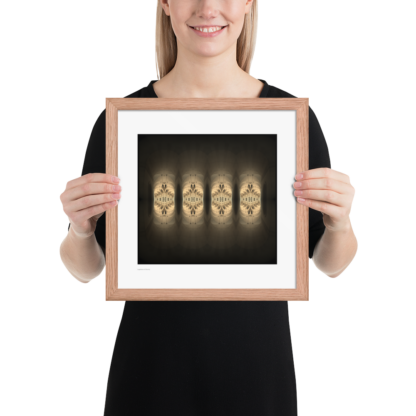 Legislature of Gravity | Framed Print - Image 7