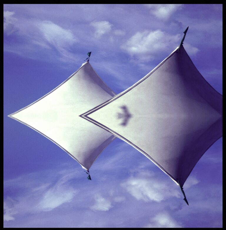 Flying