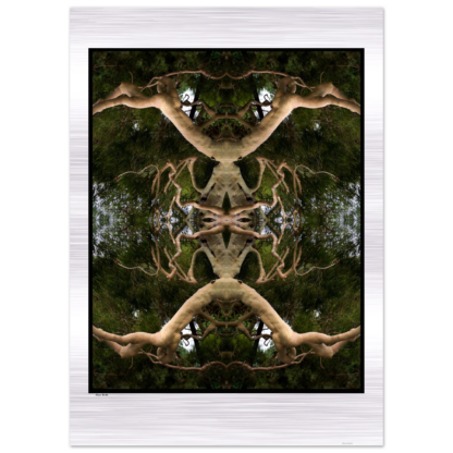 47693e1f-3bbc-4fad-b6fc-b6a46010c616