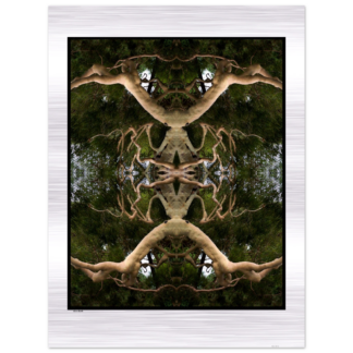 5c9949d3-1fa0-4d65-8979-39f57b660668