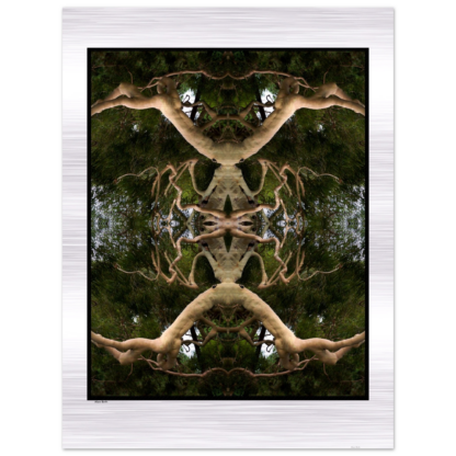 5c9949d3-1fa0-4d65-8979-39f57b660668