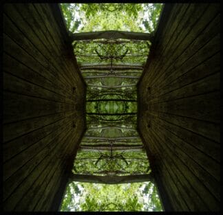 The Hive