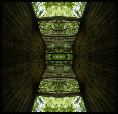 The Hive