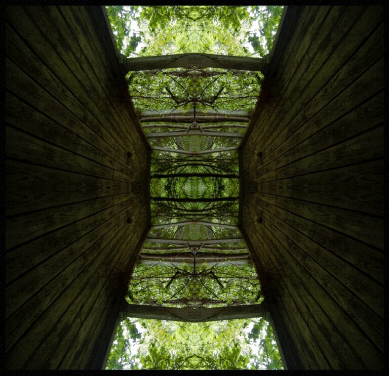 The Hive
