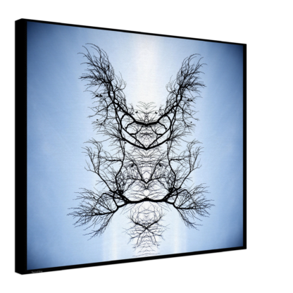 a8daa1f7-2942-427c-88e8-30b44f6b36e9