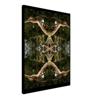 d3e93b08-f3ad-41b0-92ad-55fb029d1b6b